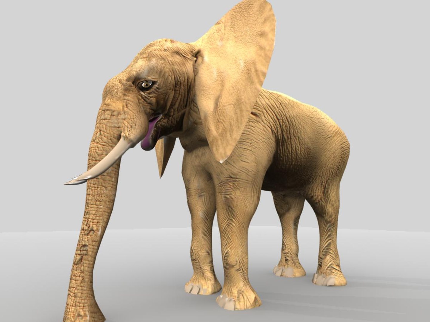 african elephant 3d x https://p.turbosquid.com/ts-thumb/sZ/ijVN9r/9pXeBaWS/ae13/jpg/1471365981/1920x1080/fit_q87/29b12b7b5725b2120ca68694ff96ba5de4dbb2f9/ae13.jpg