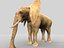 elefante africano