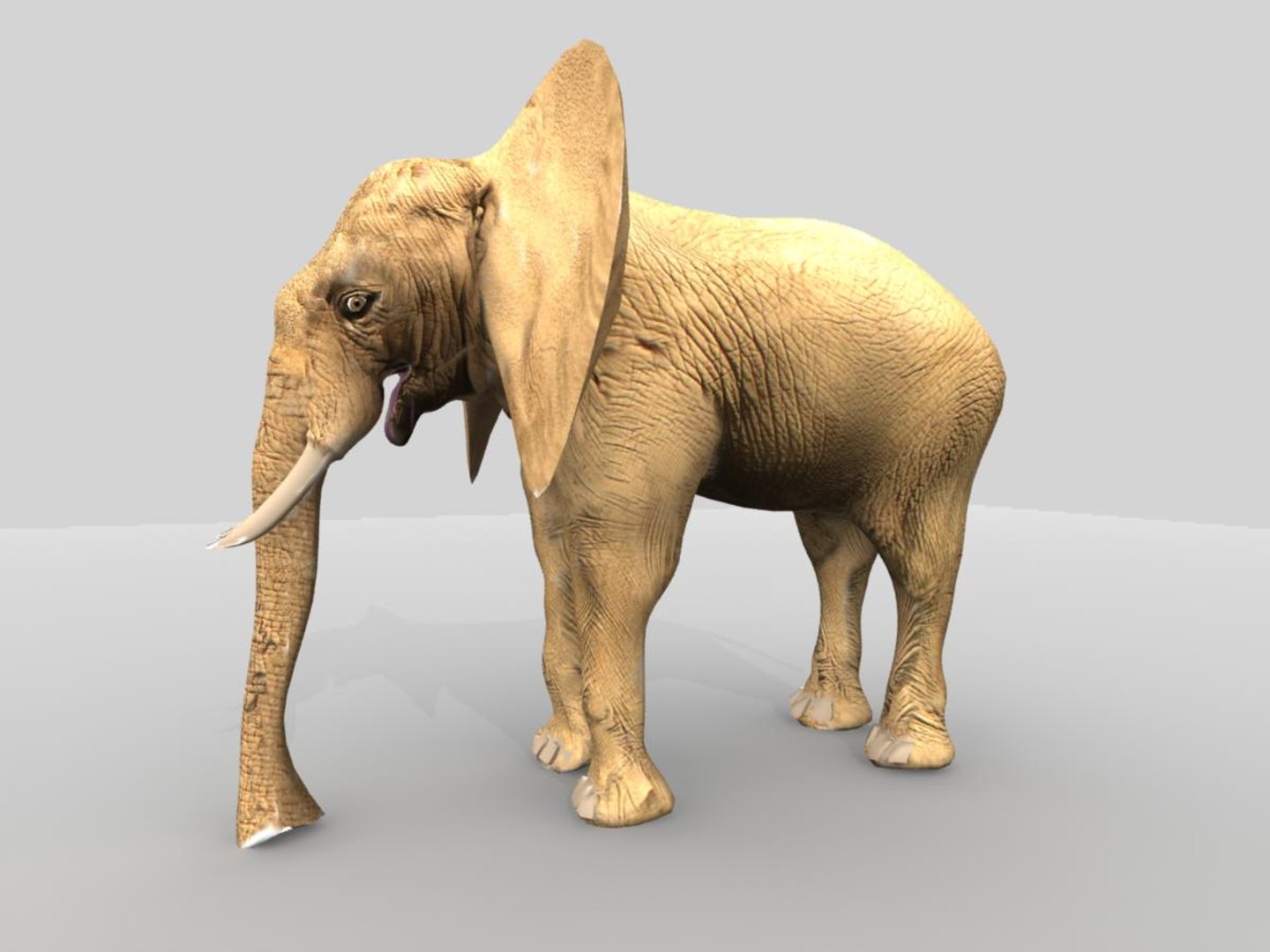 african elephant 3d x https://p.turbosquid.com/ts-thumb/sZ/ijVN9r/B2EZ36a9/ae5/jpg/1471365391/1920x1080/fit_q87/9050767ab44b64c5202019c997bc353b6b78f8c6/ae5.jpg