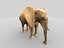 elefante africano