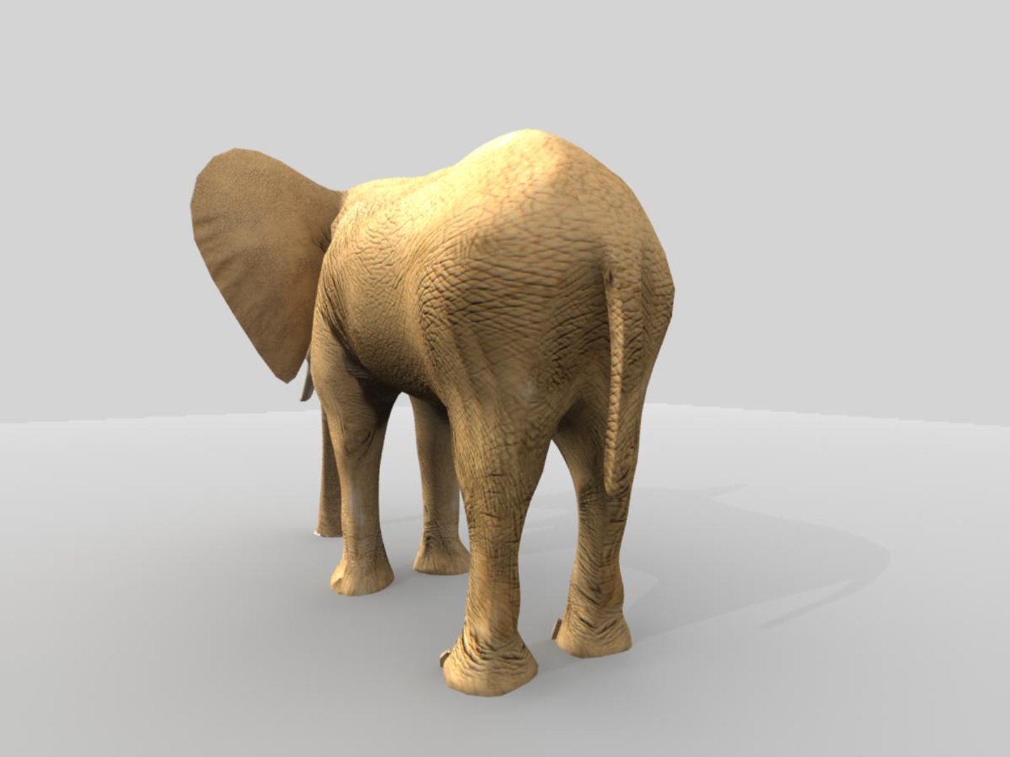 african elephant 3d x https://p.turbosquid.com/ts-thumb/sZ/ijVN9r/YyamIw4F/ae6/jpg/1471365409/1920x1080/fit_q87/5bd4a11ca297a39def01d6ccdc5ef4f395f5e734/ae6.jpg