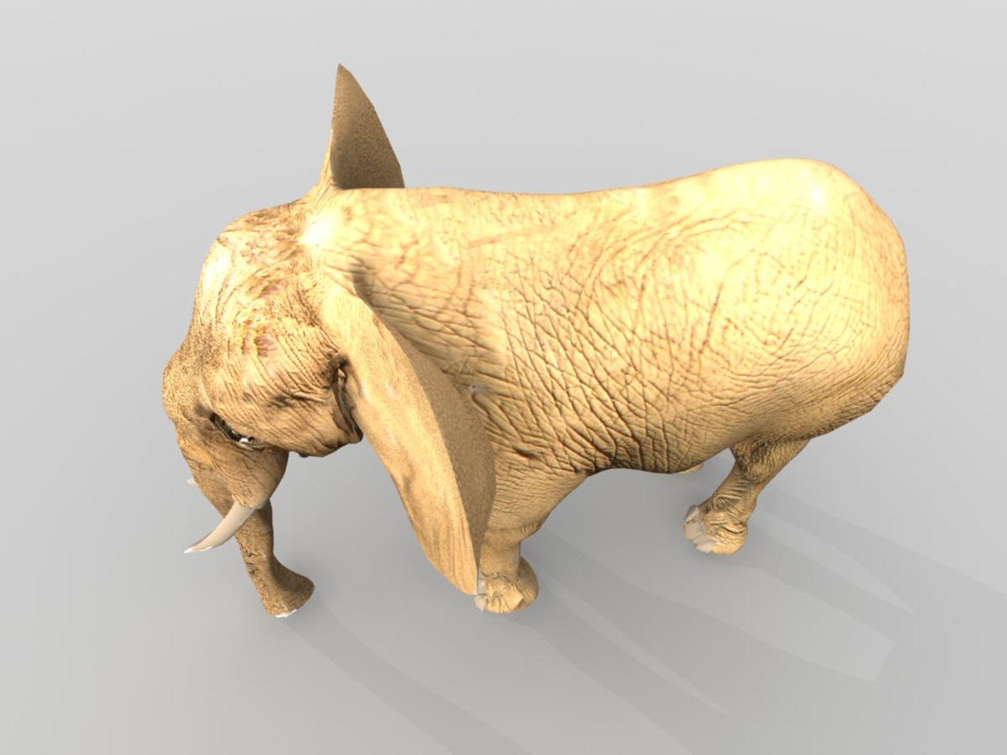 african elephant 3d x https://p.turbosquid.com/ts-thumb/sZ/ijVN9r/hqKG67oF/ae12/jpg/1471365554/1920x1080/fit_q87/a2bc728813458d76fc50a36e85360092666737ee/ae12.jpg
