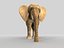 elefante africano