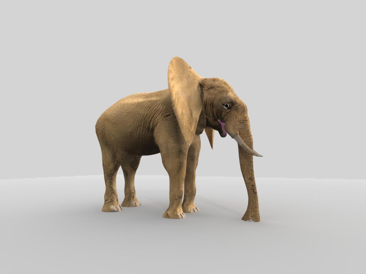 african elephant 3d x https://p.turbosquid.com/ts-thumb/sZ/ijVN9r/u7actbX6/ae9/jpg/1471365463/1920x1080/fit_q87/e3c68a21d3e79e99c2ff0f2d2eaa35c1cba2c3c2/ae9.jpg