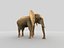 elefante africano