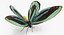 Butterflies Rigged Collection 2 for Cinema 4D