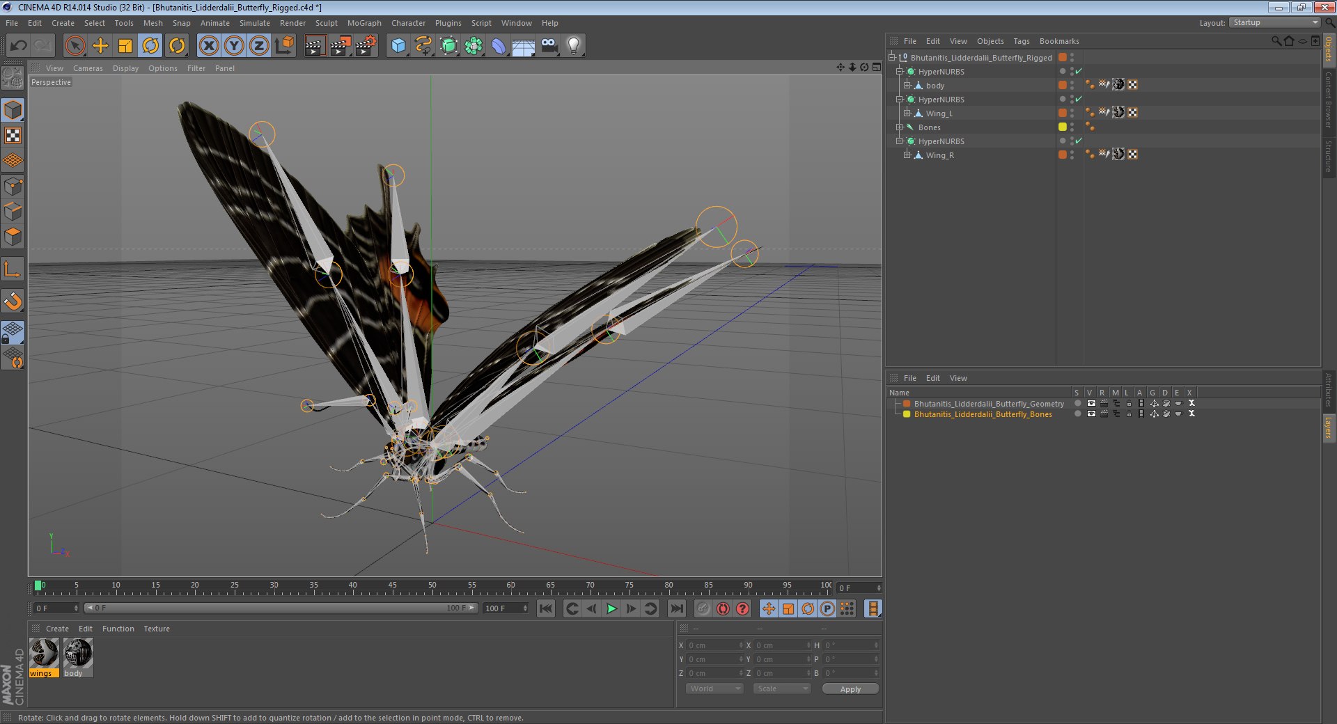 butterflies rigged 2 io model https://p.turbosquid.com/ts-thumb/sZ/jmQ1Sb/I6xGeRk5/bhutanitislidderdaliibutterflyriggedc4d3dmodel015/jpg/1583654920/1920x1080/fit_q87/dd49570d09003e51b25a752094c74524a61f807a/bhutanitislidderdaliibutterflyriggedc4d3dmodel015.jpg