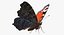 Butterflies Rigged Collection 2 for Cinema 4D