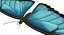 Butterflies Rigged Collection 2 for Cinema 4D