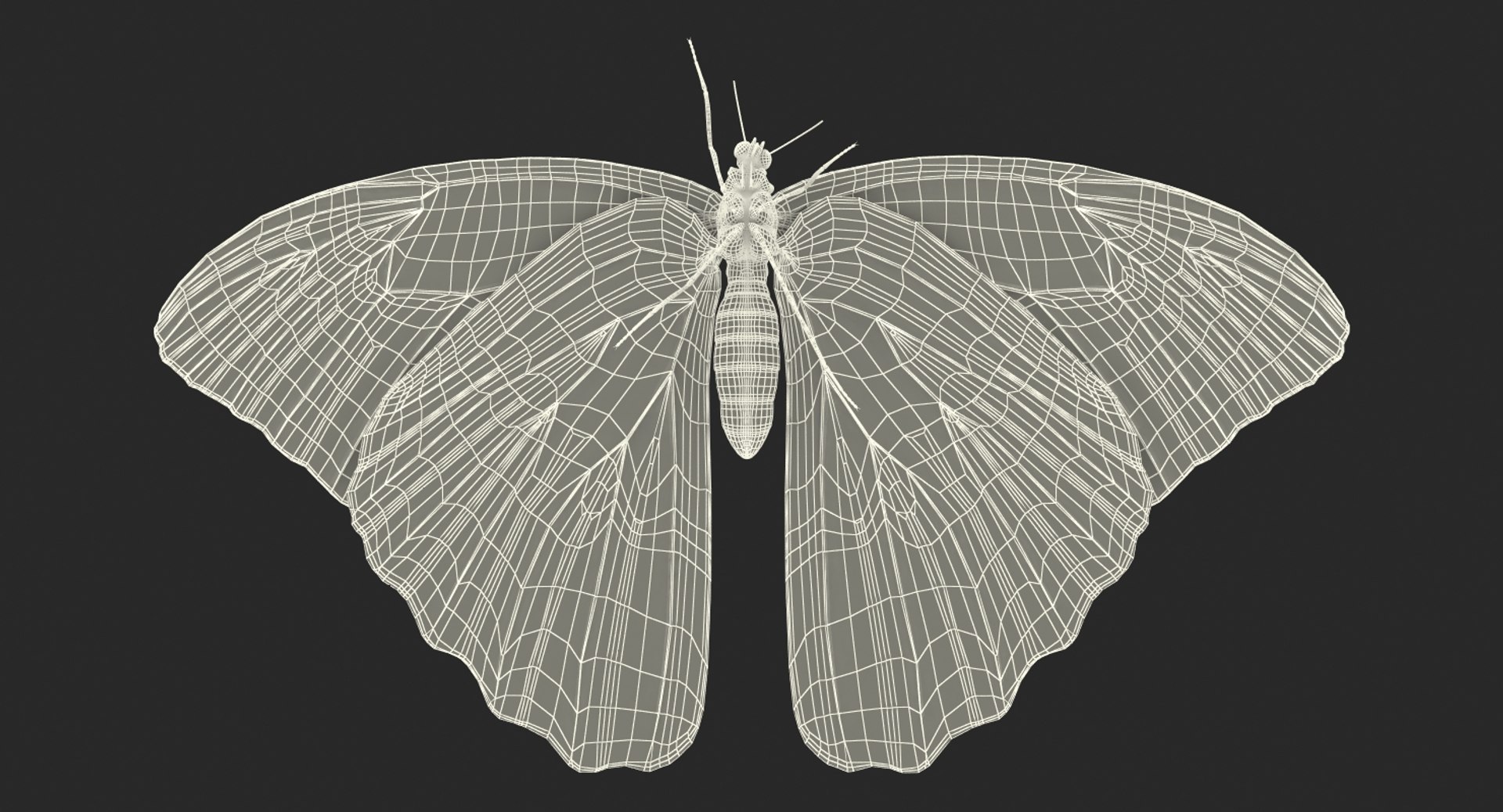 butterflies rigged 2 io model https://p.turbosquid.com/ts-thumb/sZ/jmQ1Sb/h0WsnmxV/butterfliescollection23dmodel040/jpg/1536911486/1920x1080/fit_q87/a87481f6f8a27ce1c8687493f9f412b59707b5c3/butterfliescollection23dmodel040.jpg