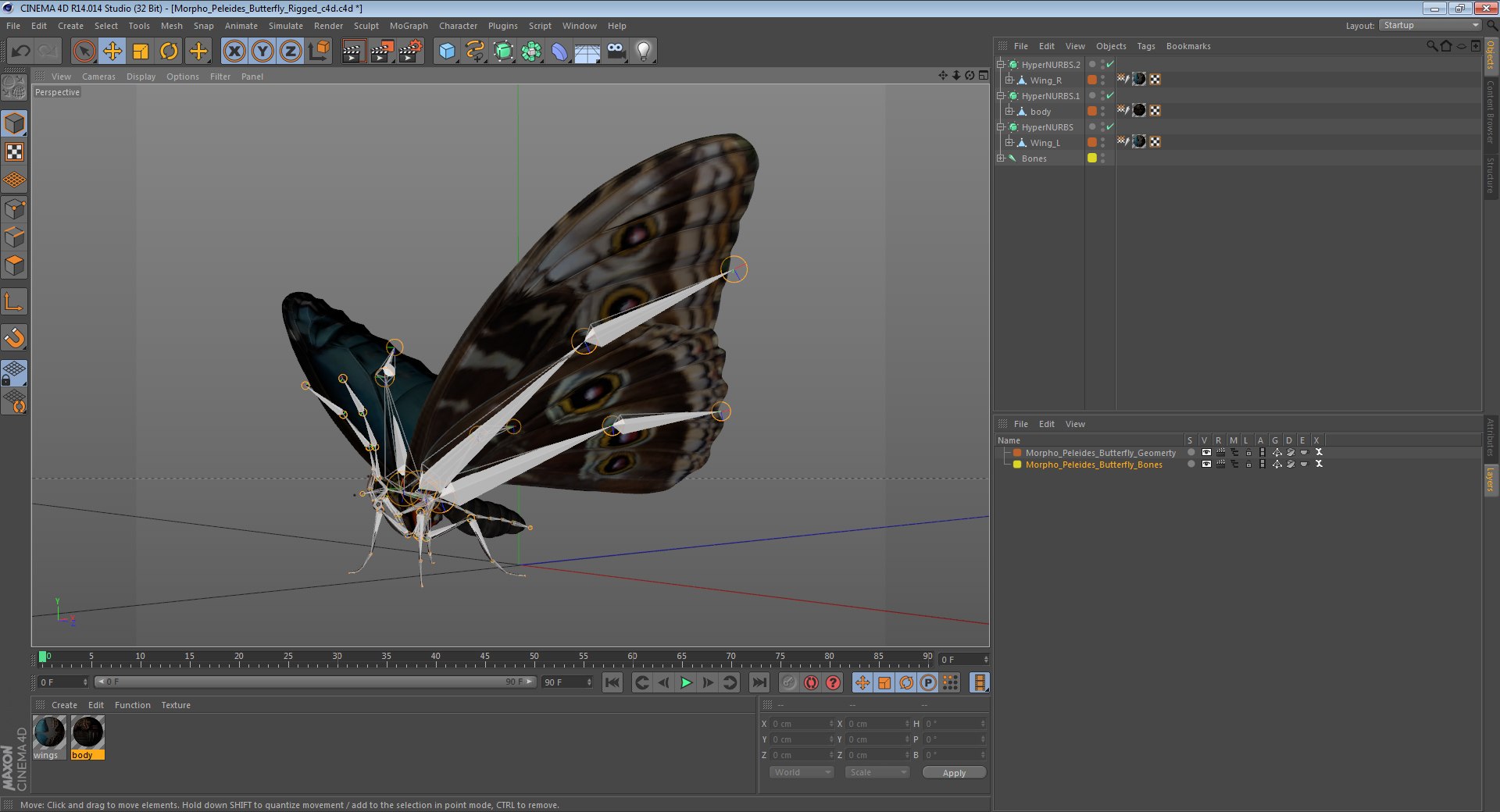 butterflies rigged 2 io model https://p.turbosquid.com/ts-thumb/sZ/jmQ1Sb/iVjB3cF1/morphopeleidesbutterflyriggedcinemc4d3dmodel16/jpg/1583654920/1920x1080/fit_q87/f323379224797d4733cc9b468d7d450817e01f14/morphopeleidesbutterflyriggedcinemc4d3dmodel16.jpg