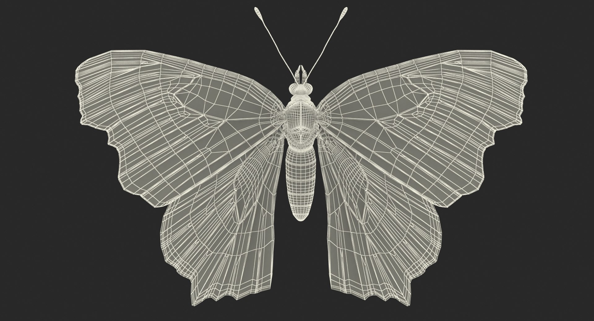 butterflies rigged 2 io model https://p.turbosquid.com/ts-thumb/sZ/jmQ1Sb/pcHEDVu0/butterfliescollection23dmodel037/jpg/1536911486/1920x1080/fit_q87/15846621316301ca4c809b3463e8252a06db7cce/butterfliescollection23dmodel037.jpg