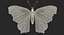 Butterflies Rigged Collection 2 for Cinema 4D