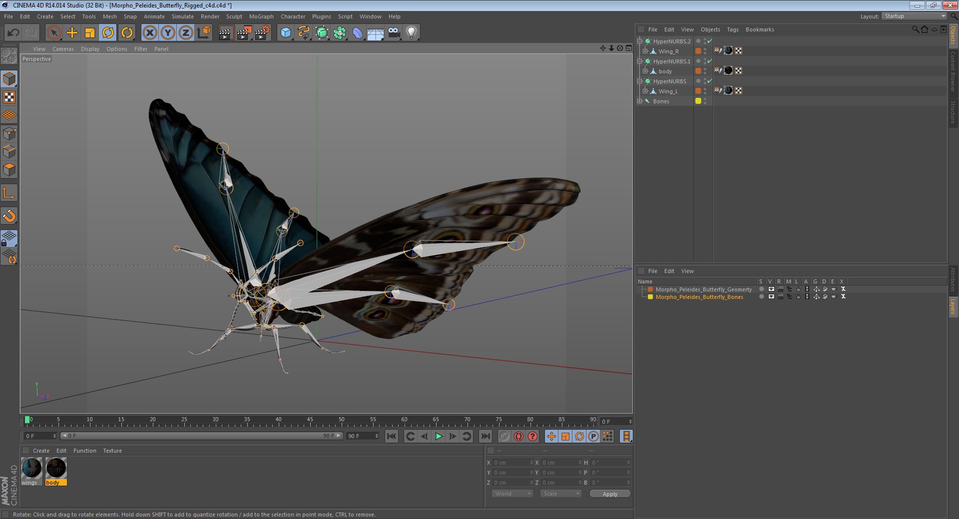 butterflies rigged 2 io model https://p.turbosquid.com/ts-thumb/sZ/jmQ1Sb/syEd2iua/morphopeleidesbutterflyriggedcinemc4d3dmodel17/jpg/1583654920/1920x1080/fit_q87/25759266fbf1c2001ec297026ef8dae7cde7ab75/morphopeleidesbutterflyriggedcinemc4d3dmodel17.jpg