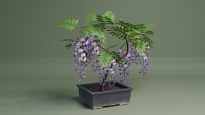 Wisteria Bonsai Tree 3D Model 3D model