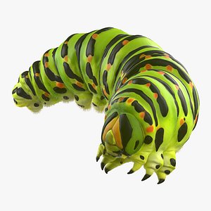 3d model caterpillar pose 4 fur