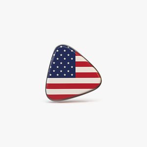 USA Flag Icon model