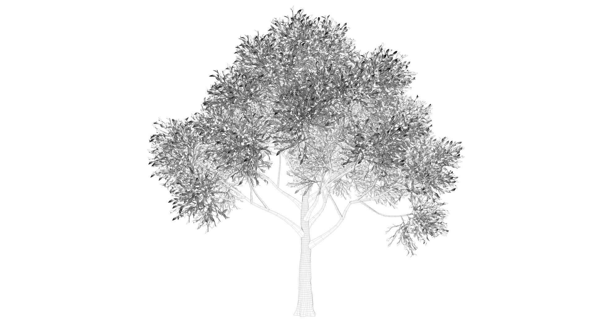 realistic apple tree 3D https://p.turbosquid.com/ts-thumb/sa/JJEBiu/F7crTGbj/render0000/png/1609856747/1920x1080/fit_q87/6eaf2a95f6c47d528a10252d80573d8cb9962d38/render0000.jpg