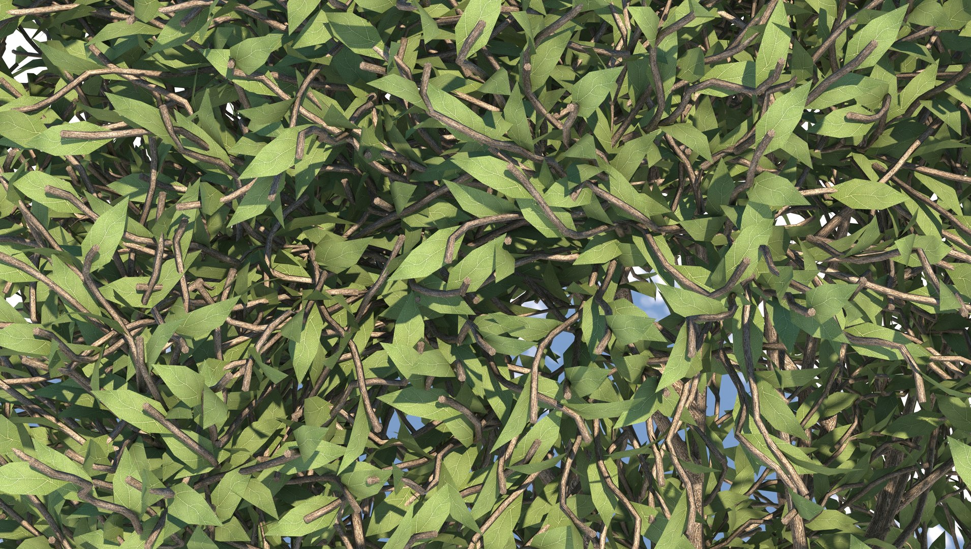 realistic apple tree 3D https://p.turbosquid.com/ts-thumb/sa/JJEBiu/HhLJEEig/7/jpg/1609856011/1920x1080/fit_q87/53c373a9b230691592fd206ba33dc700c985b0b8/7.jpg