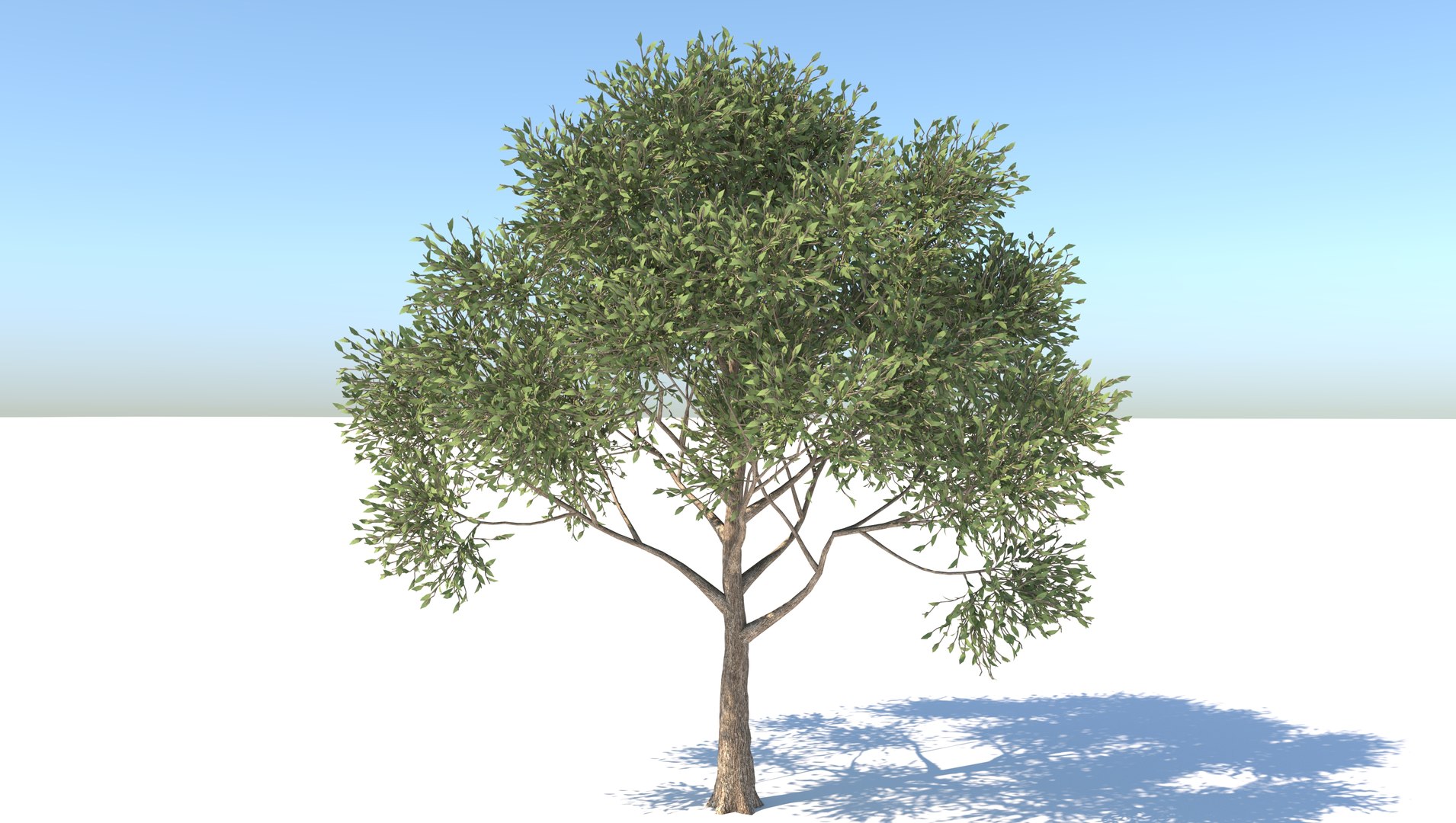 realistic apple tree 3D https://p.turbosquid.com/ts-thumb/sa/JJEBiu/X2Irol9v/1/jpg/1609856010/1920x1080/fit_q87/50d6615035d34e4a9ea1c1840ed873c2ed97a67b/1.jpg