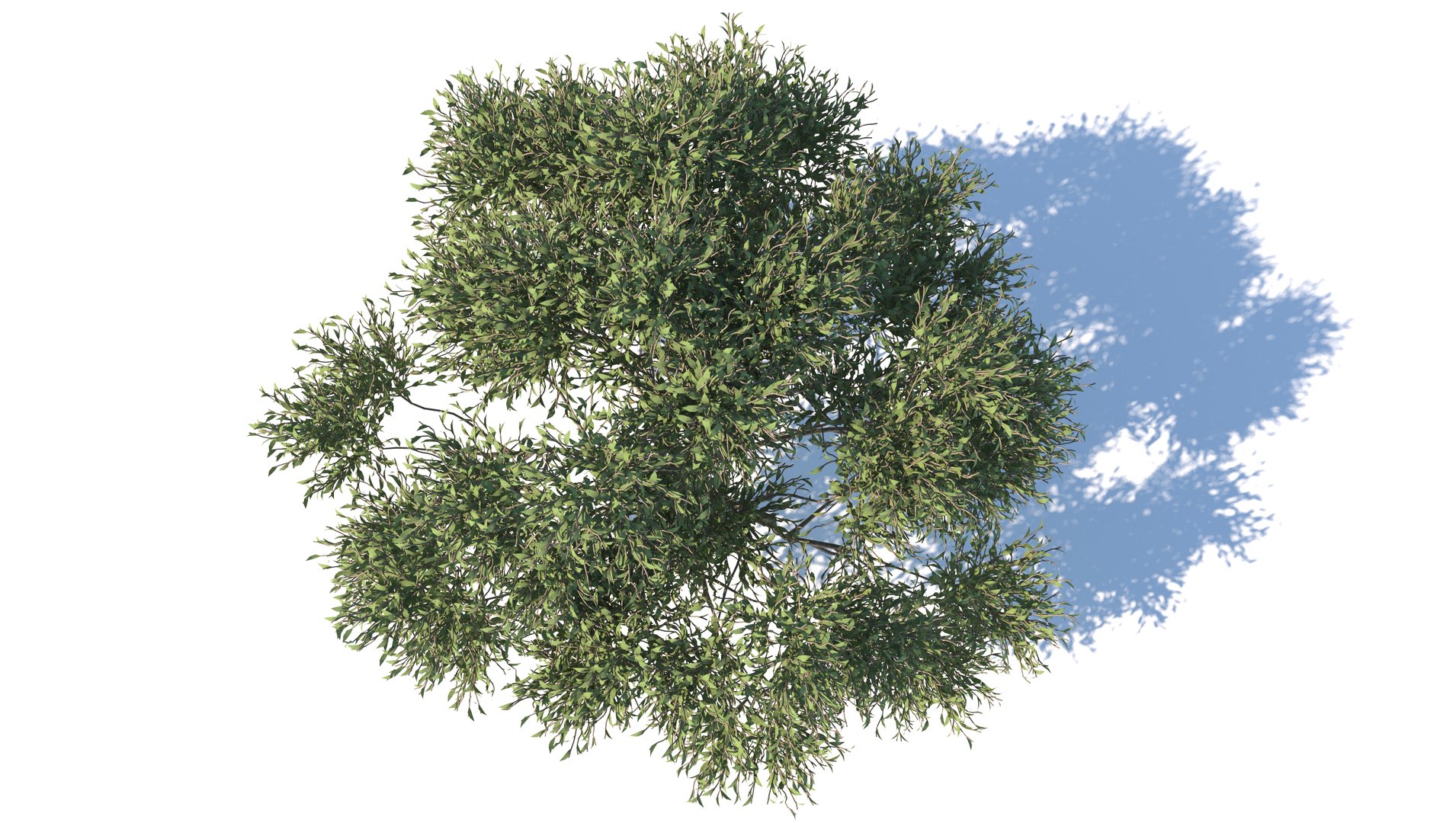 realistic apple tree 3D https://p.turbosquid.com/ts-thumb/sa/JJEBiu/fjW66Buu/4/jpg/1609856011/1920x1080/fit_q87/9053443b401e987b093f888d5ca0cf2ff4302235/4.jpg
