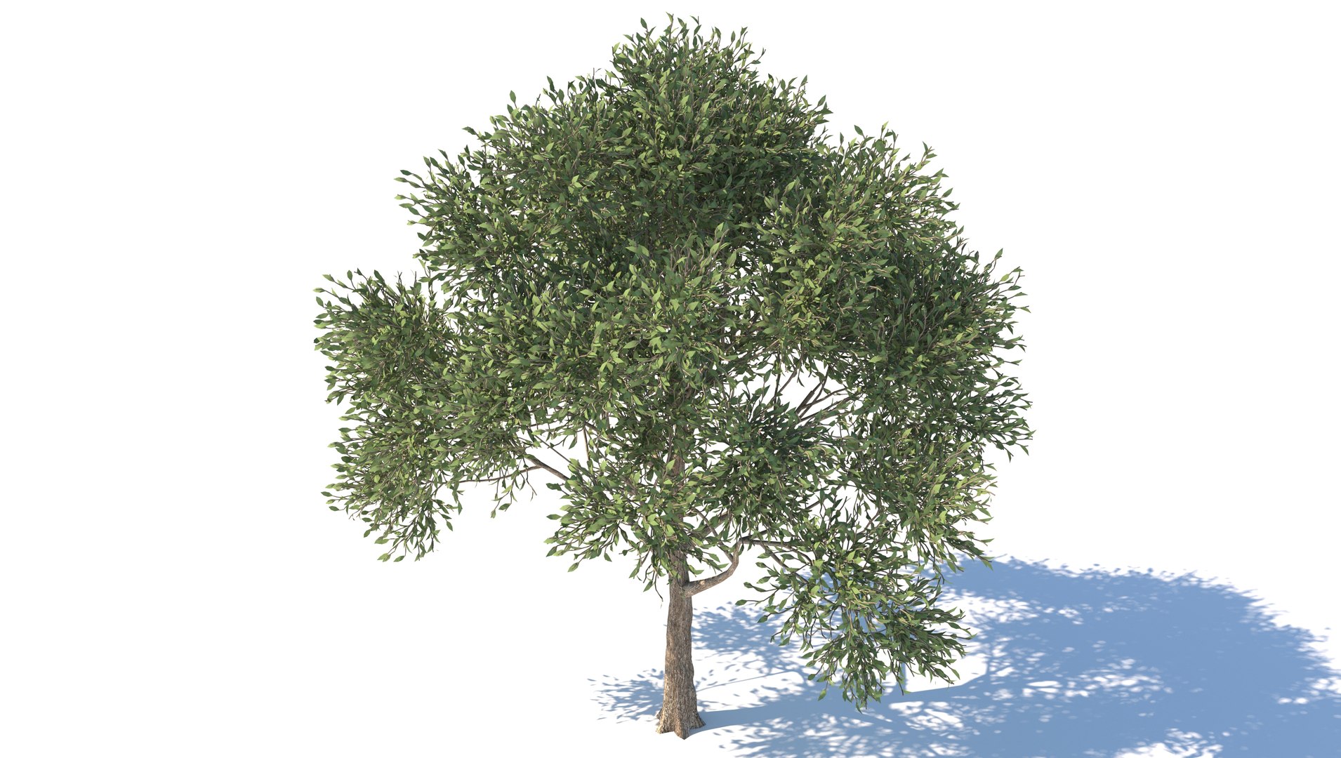 realistic apple tree 3D https://p.turbosquid.com/ts-thumb/sa/JJEBiu/kvWmHyxo/3/jpg/1609856011/1920x1080/fit_q87/03c11afa70fe1503ea80eb63135ad922700aa39a/3.jpg