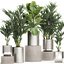 3D ornamental plants chrome flowerpots - TurboSquid 1660967