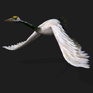 Crane Bird-A4 3D model