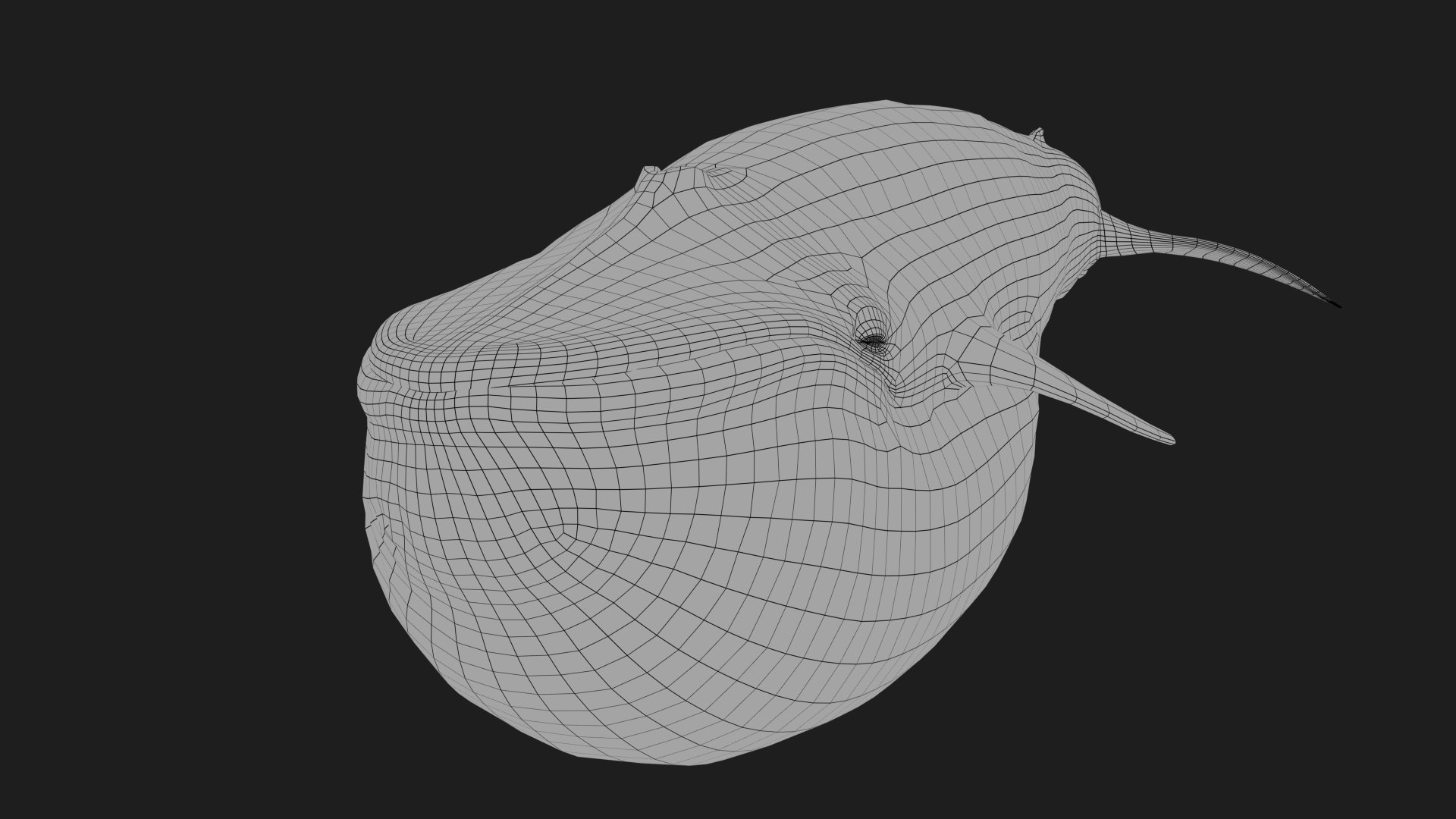 3D Blue Whale Rig UNREAL Project Plus Maya Base Rig Model - TurboSquid ...