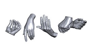 3D model scan hands