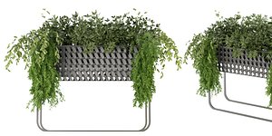 Collection plant vol 133 - blender model 3D model