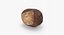 Chestnut 3