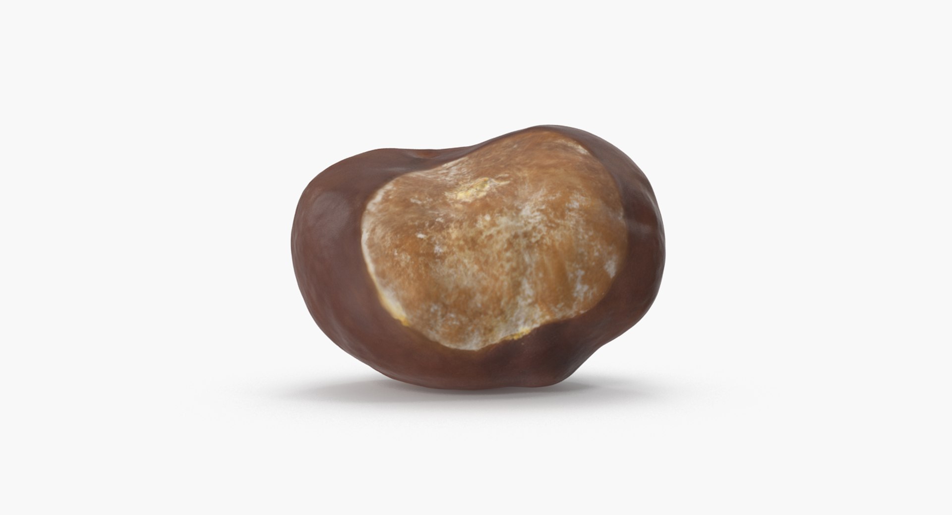 3D chestnut 3 https://p.turbosquid.com/ts-thumb/sa/aSFQ5r/DjVC2KfR/chestnut_3_04/png/1506986151/1920x1080/fit_q87/9a8ed20a719f55694add09df025790ded8328ac7/chestnut_3_04.jpg