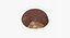Chestnut 3