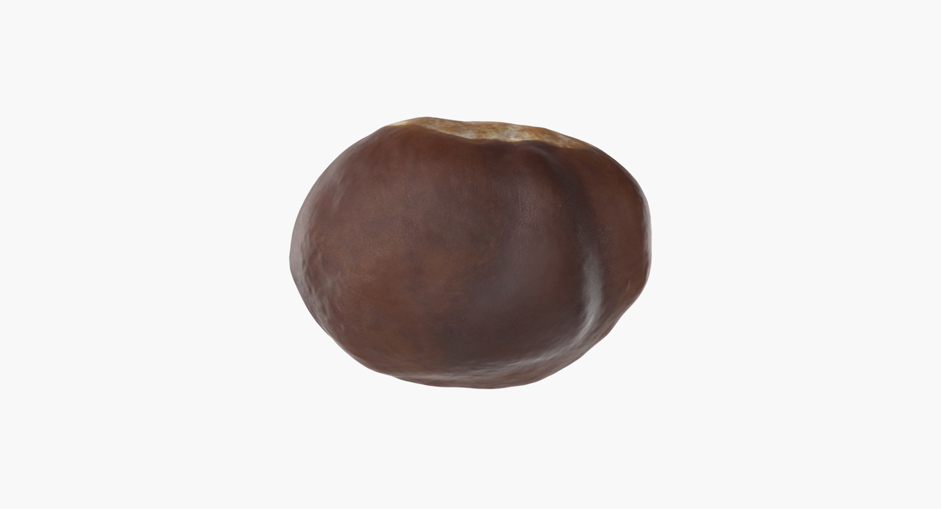 3D chestnut 3 https://p.turbosquid.com/ts-thumb/sa/aSFQ5r/VfOALEc0/chestnut_3_08/png/1506986151/1920x1080/fit_q87/19b457890762e8f982921a763e04f0411e724d61/chestnut_3_08.jpg
