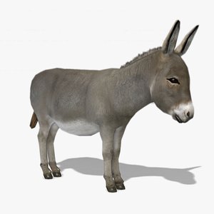 3D model Donkey