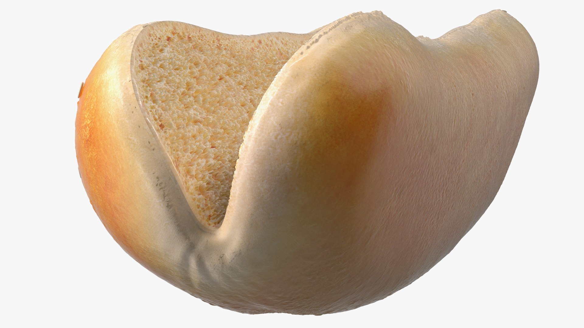 3D Cut Sesame Bun model https://p.turbosquid.com/ts-thumb/sa/in5TNe/Ie/cutsesamebun3dsmodel008/jpg/1642524737/1920x1080/fit_q87/f2286cd1ab92b7bc89456ffb97a178edc38ec613/cutsesamebun3dsmodel008.jpg