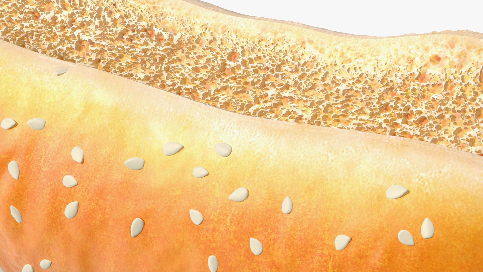3D Cut Sesame Bun model https://p.turbosquid.com/ts-thumb/sa/in5TNe/Km/cutsesamebun3dsmodel013/jpg/1642524752/1920x1080/fit_q87/d116a140977efe103a1478c13eb3ffda61f00ce1/cutsesamebun3dsmodel013.jpg