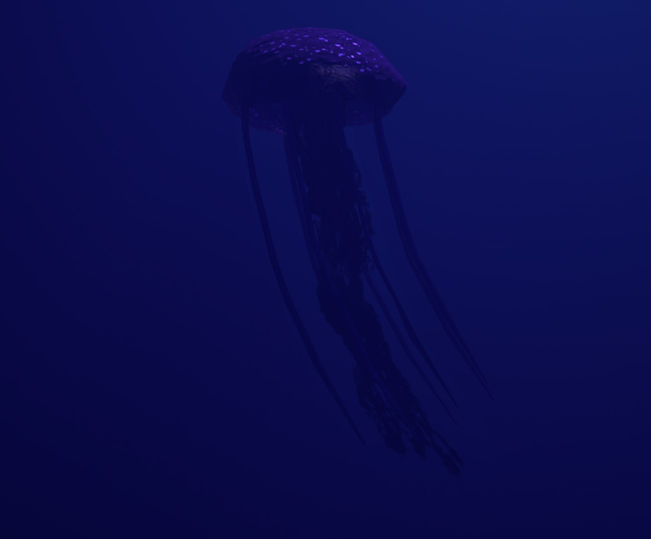 3D rigged jellyfish https://p.turbosquid.com/ts-thumb/sa/tov5Ub/zySLbIoU/kpkivgs/png/1501945206/1920x1080/fit_q87/d588eb22a76e1954e6d0419e375763e5ad86343b/kpkivgs.jpg