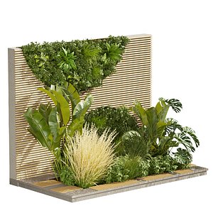 Collection plant vol 462 - fitowall - leaf - palm - grass - ertical - 3dsmax - cinema 4d model