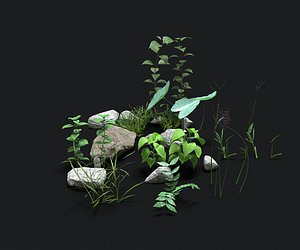 3D nature pack grass plant model