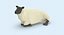 sheep---lying 3D model