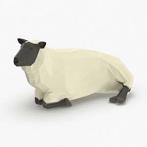 Sheep Lying