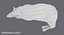 sheep---lying 3D model