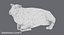 sheep---lying 3D model