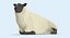sheep---lying 3D model