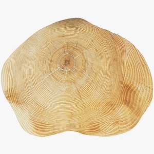 Cutting Board V2