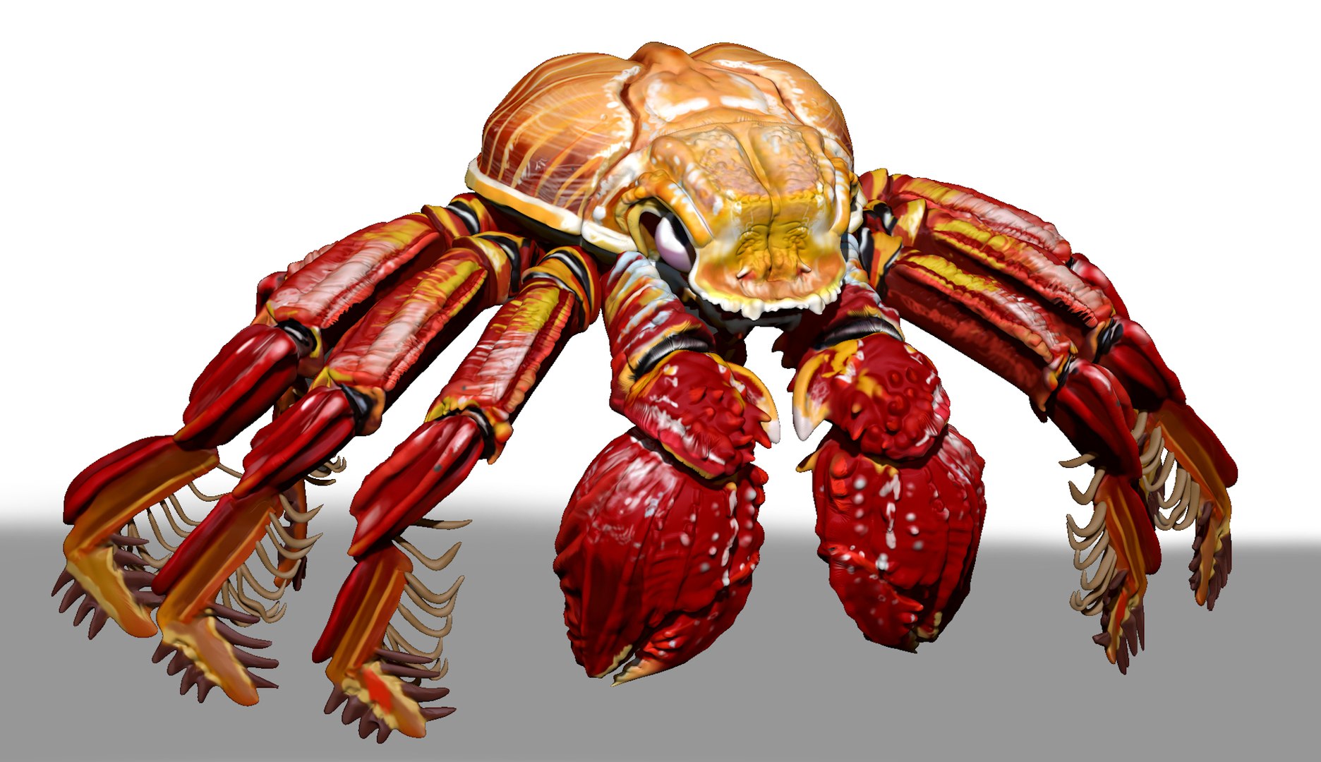 3d Red Crab Ztl Zbrush Sculpt - Turbosquid 1732908