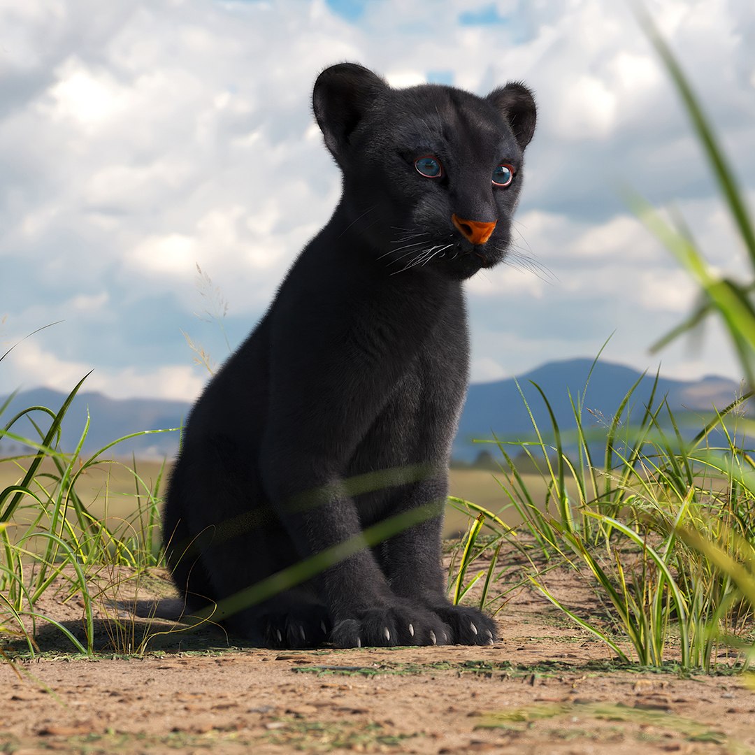 3D Black Panther Cub With Fur Rigged Model - TurboSquid 2347248, image size:1080x1080