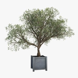 olive tree 3ds